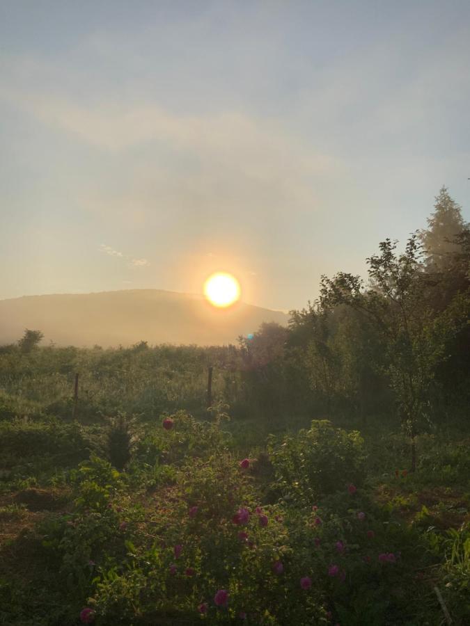 Peace Valley - Dolina Mira Janja Gora Ngoại thất bức ảnh