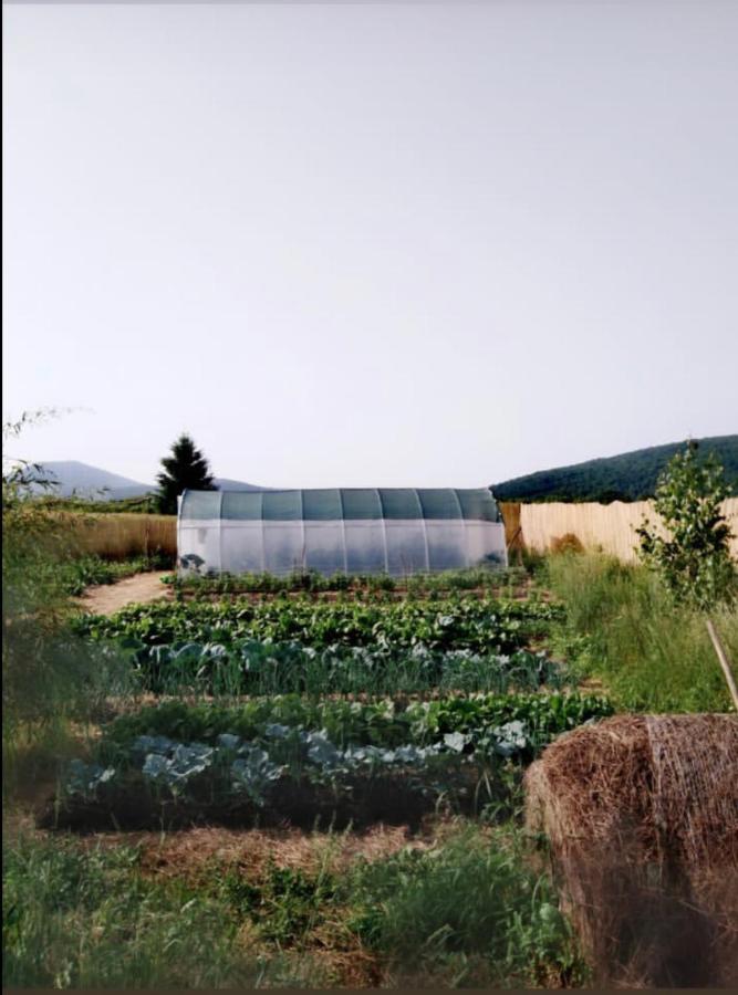 Peace Valley - Dolina Mira Janja Gora Ngoại thất bức ảnh