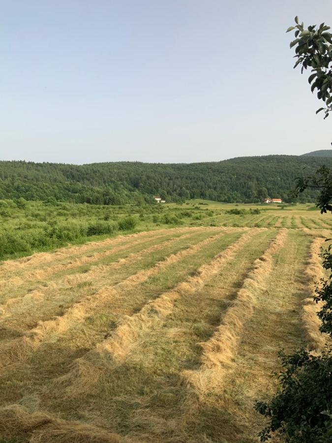 Peace Valley - Dolina Mira Janja Gora Ngoại thất bức ảnh