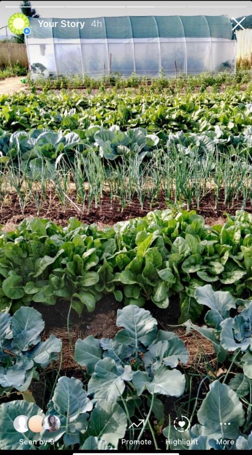 Peace Valley - Dolina Mira Janja Gora Ngoại thất bức ảnh